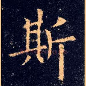 斯
