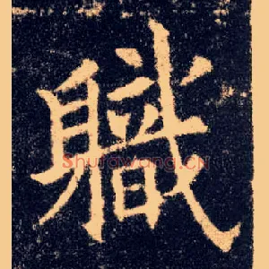 职