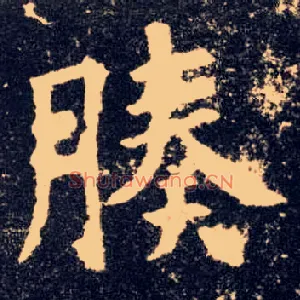腠