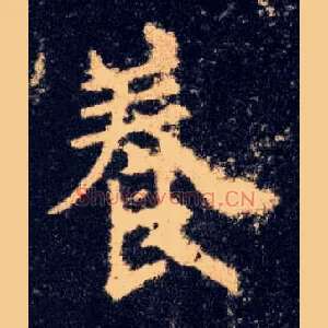 養
