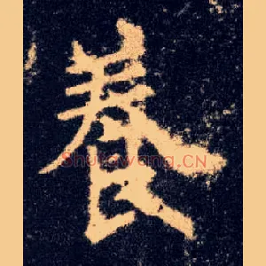 養