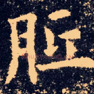 胝