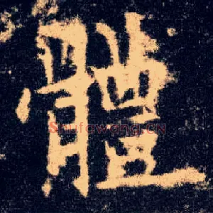体