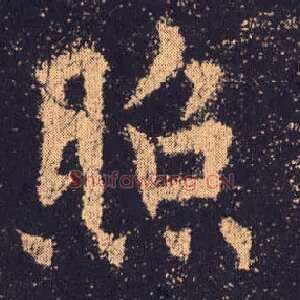 照