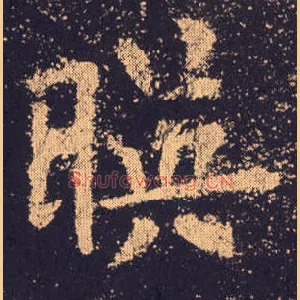 映