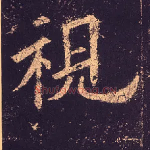 视