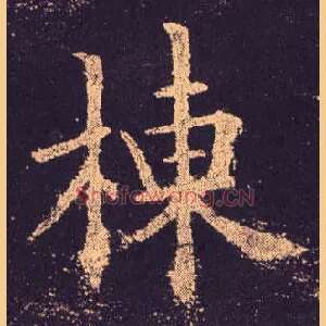 栋
