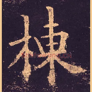 栋