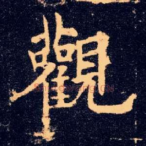 观