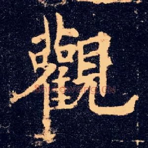 观