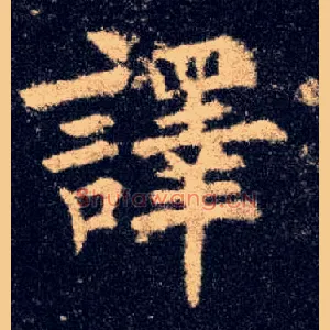 译