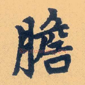 胆