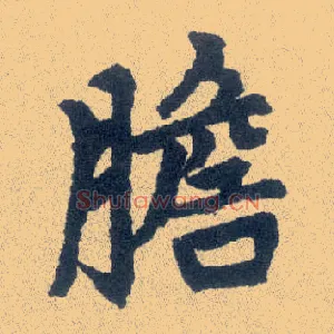 胆