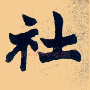 社