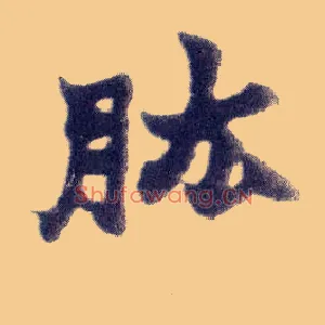 肱