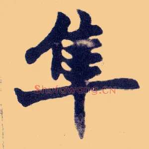 隼