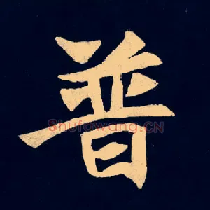 普
