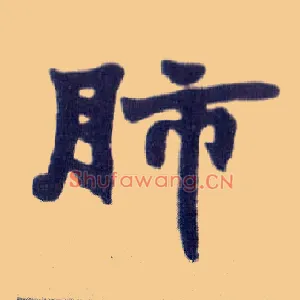 肺