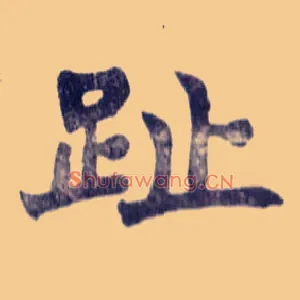 趾