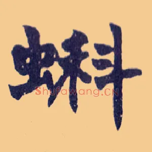 蝌