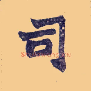 司