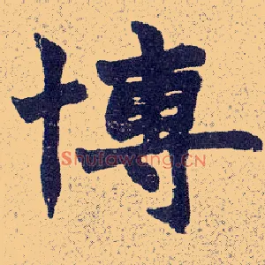博