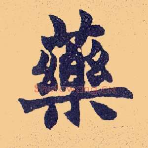 药