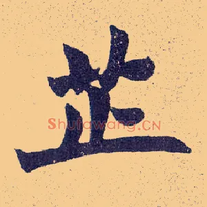 芷