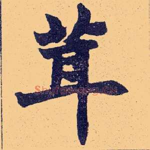 茸