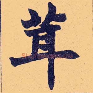 茸