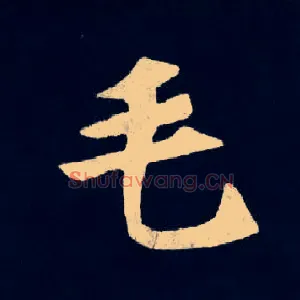 毛