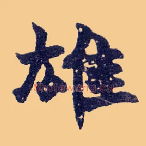 雄