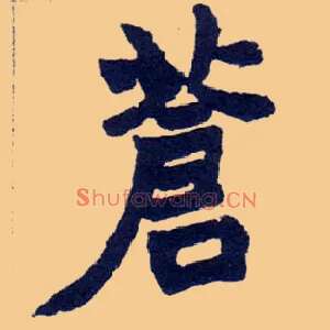 苍
