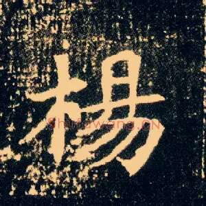 杨