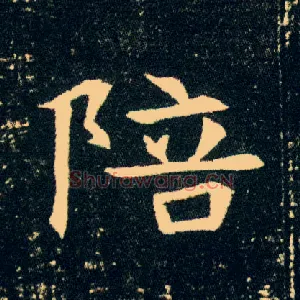 陪