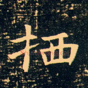 栖