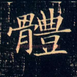 体