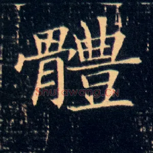 体