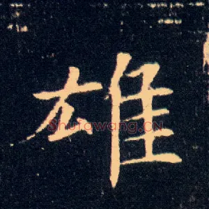 雄