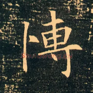 愽