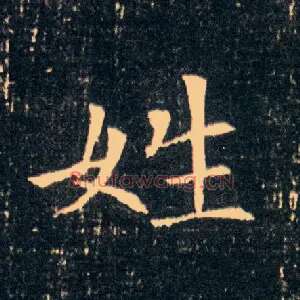姓
