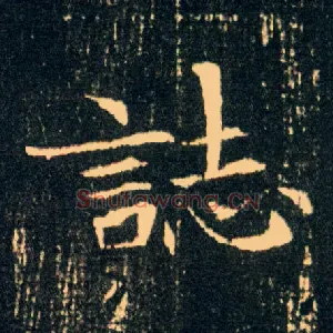 志