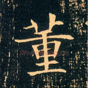 董