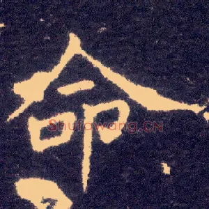 命