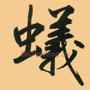 蚁