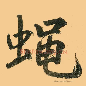 蝇