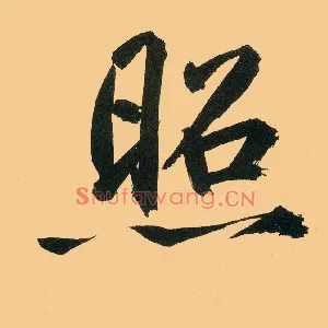 照