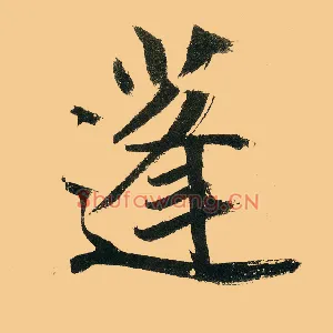 蓬