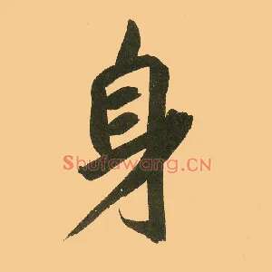 身
