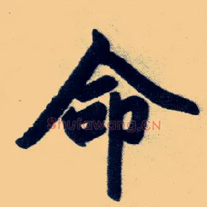命